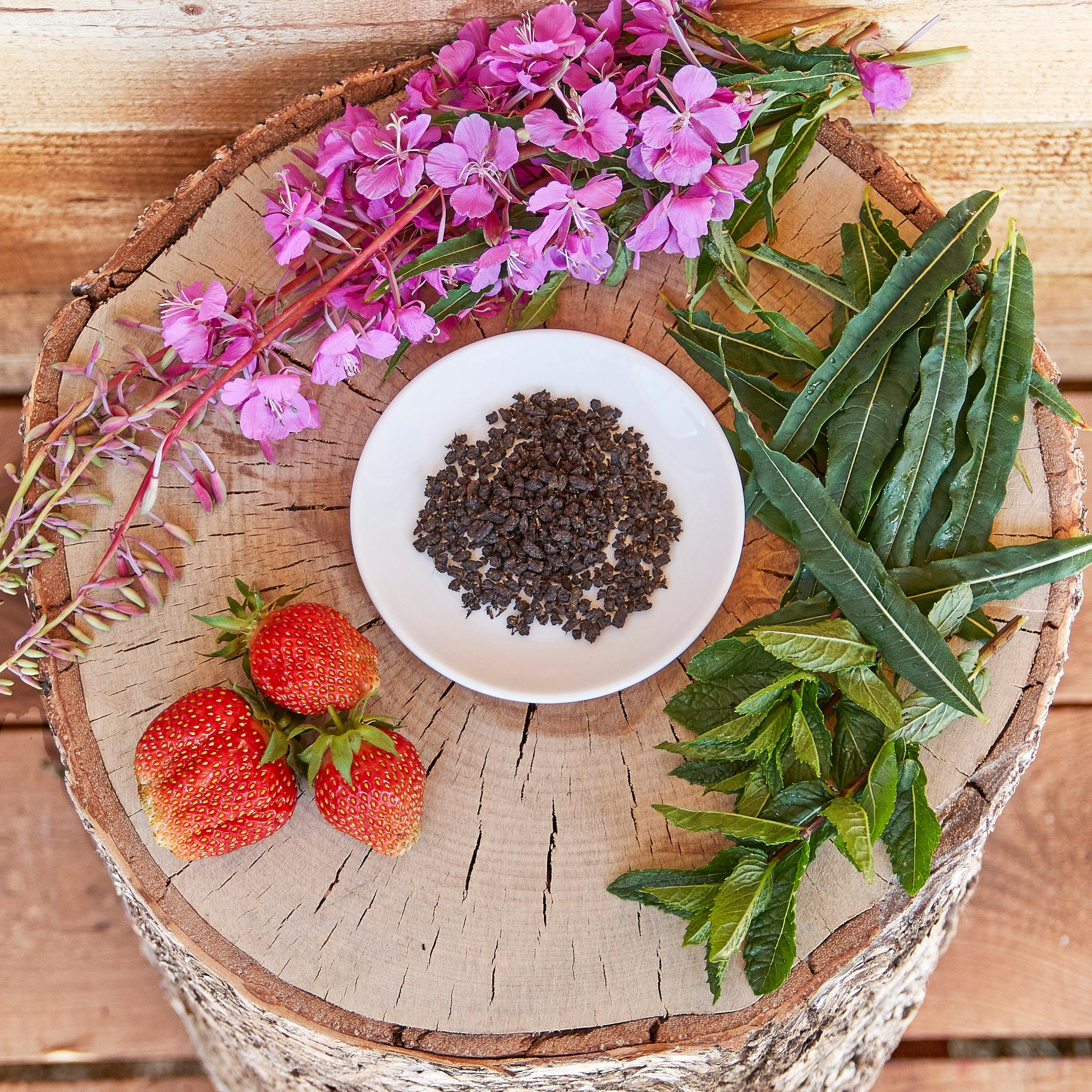 깻잎·가지가 보약이 아닌 독이 되는 순간 3가지와 항암·치매 효과 5배 높이는 황금 궁합 레시피